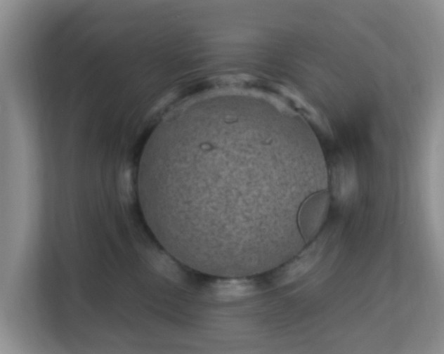 X0000111640378200907241116