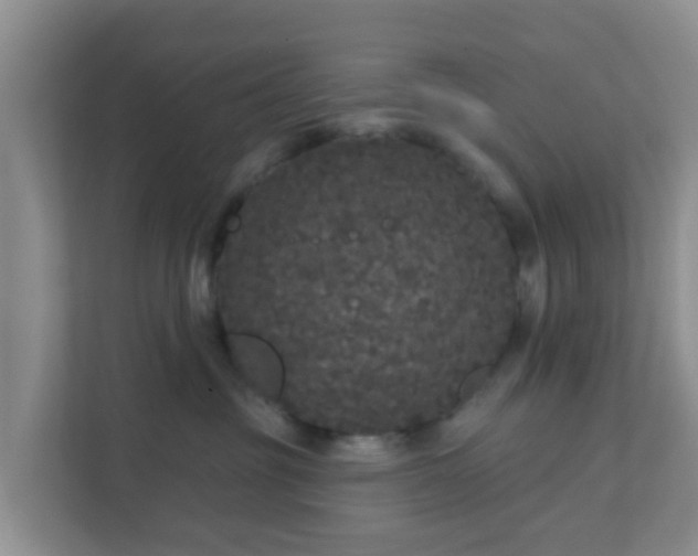 X0000111640381200907241116