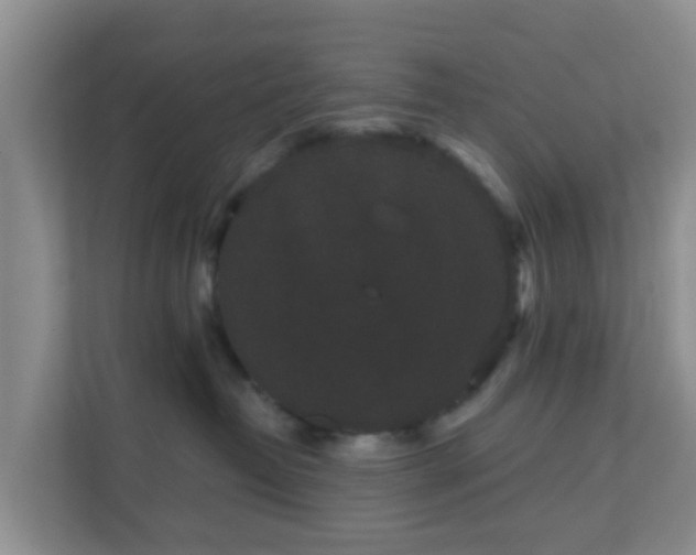 X0000111640382200907241116