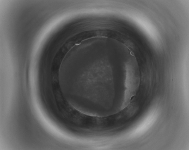 X0000111640383200907241116