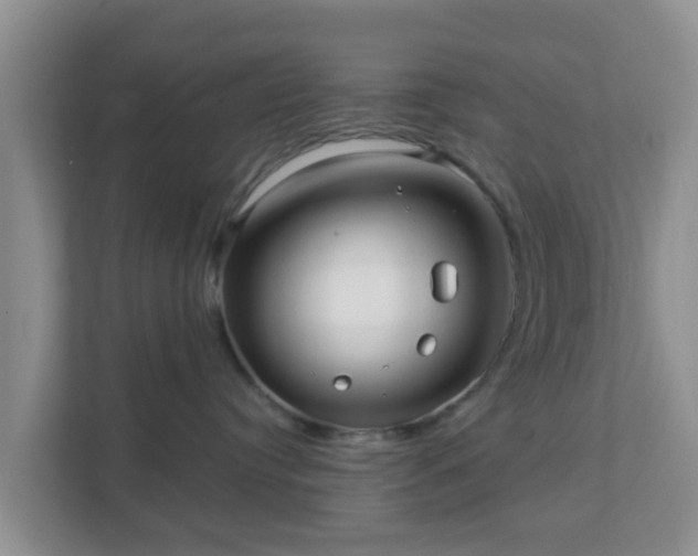 X0000111640384200907241116