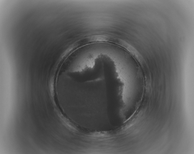 X0000111640386200907241115