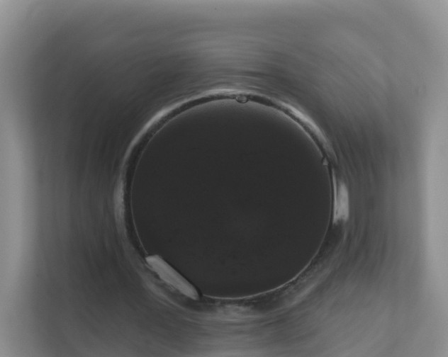 X0000111640387200907241115