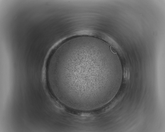 X0000111640388200907241115