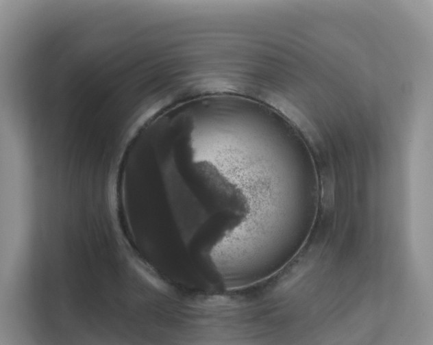 X0000111640390200907241115