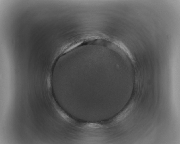 X0000111640393200907241115