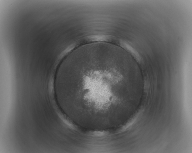 X0000111640394200907241115