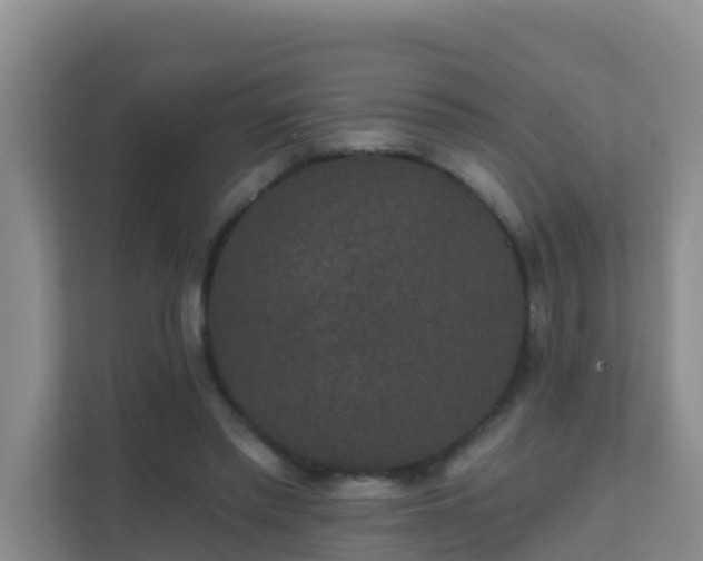 X0000111640397200907241115