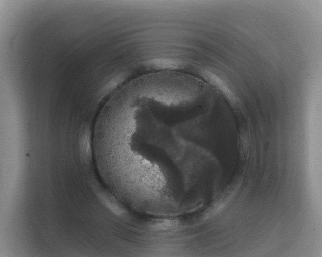 X0000111640398200907241115