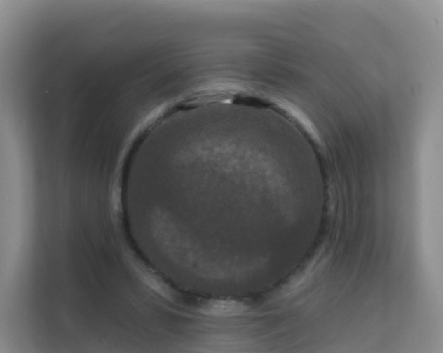 X0000111640399200907241115