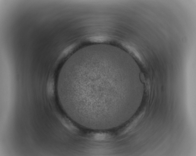 X0000111640400200907241115