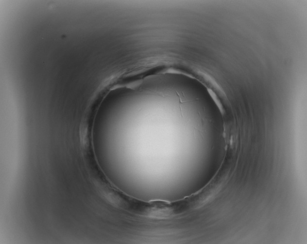 X0000111640403200907241115