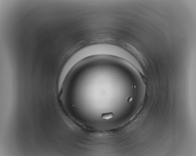 X0000111640405200907241115