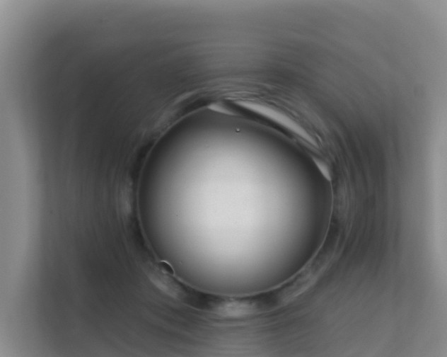 X0000111640413200907241115