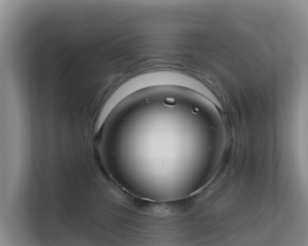 X0000111640423200907241115