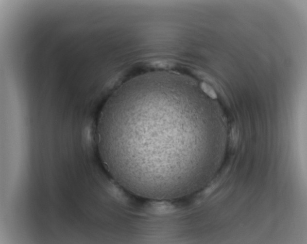 X0000111640424200907241115