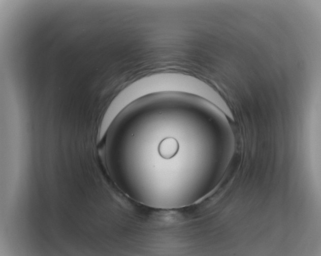 X0000111640427200907241115