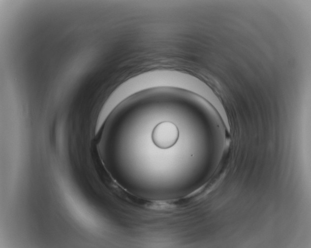 X0000111640429200907241115