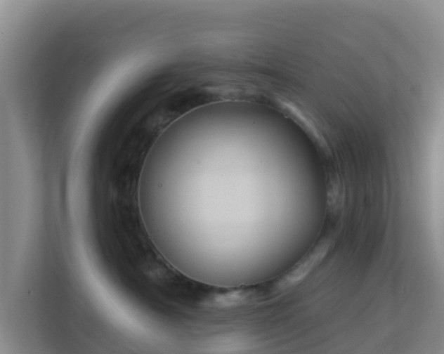 X0000111640430200907241115