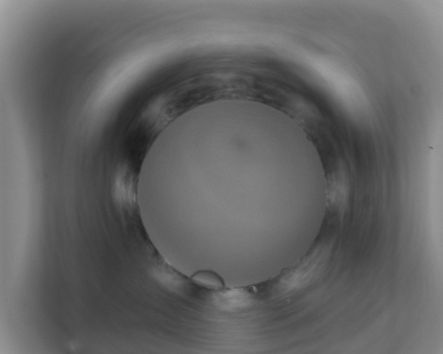 X0000111640431200907241115