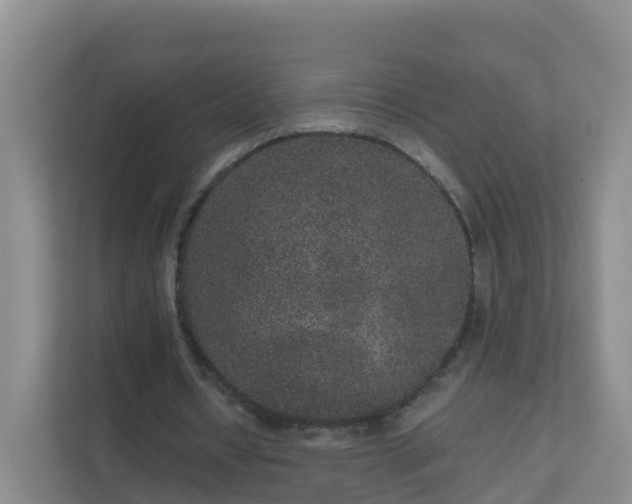 X0000111640434200907241114