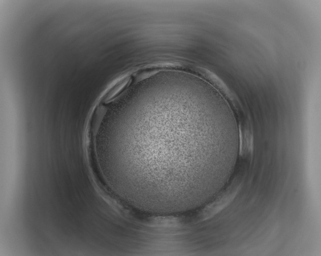 X0000111640435200907241114