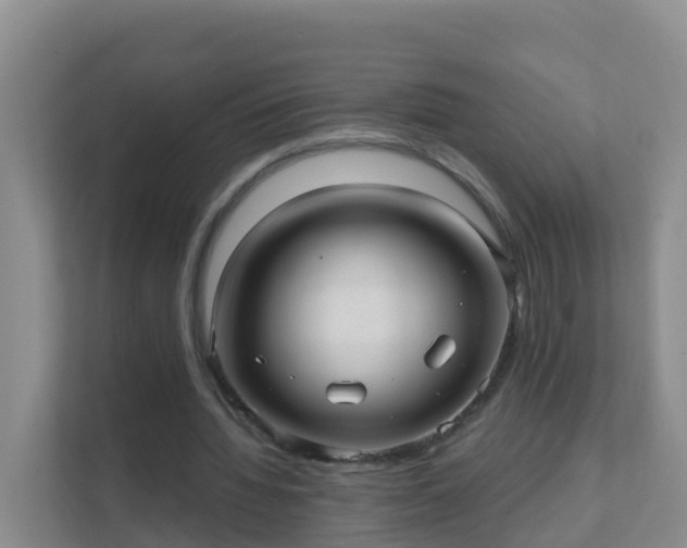 X0000111640436200907241114