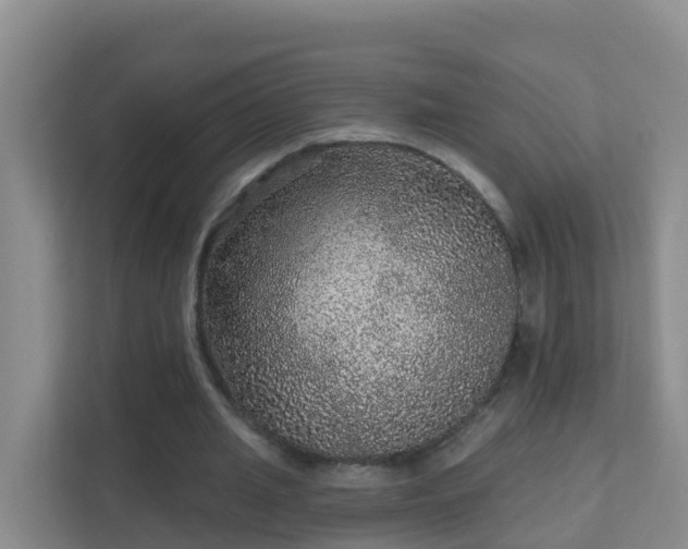 X0000111640437200907241114