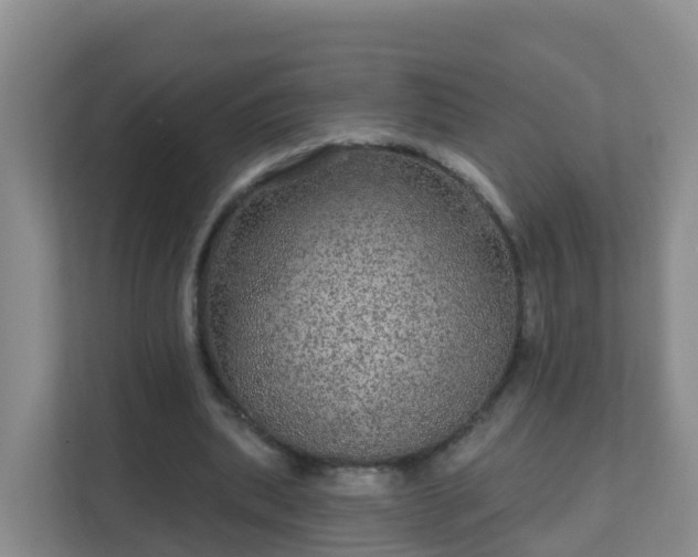 X0000111640439200907241114