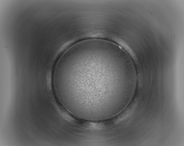 X0000111640442200907241114