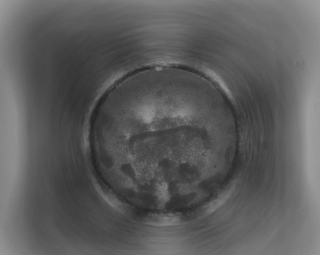 X0000111640443200907241114