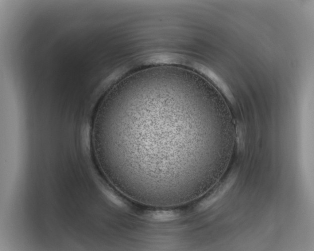 X0000111640445200907241114