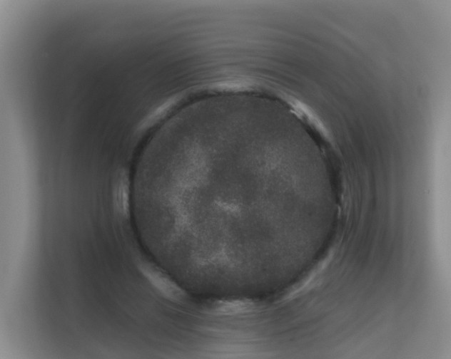 X0000111640446200907241114