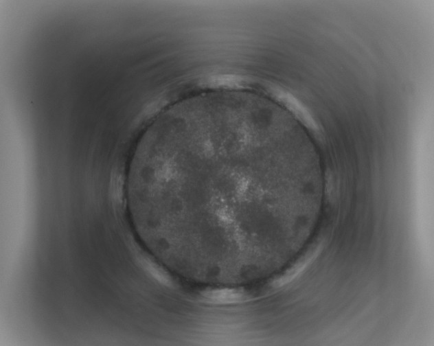 X0000111640449200907241114