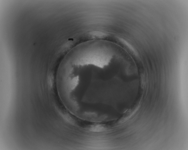 X0000111640451200907241114