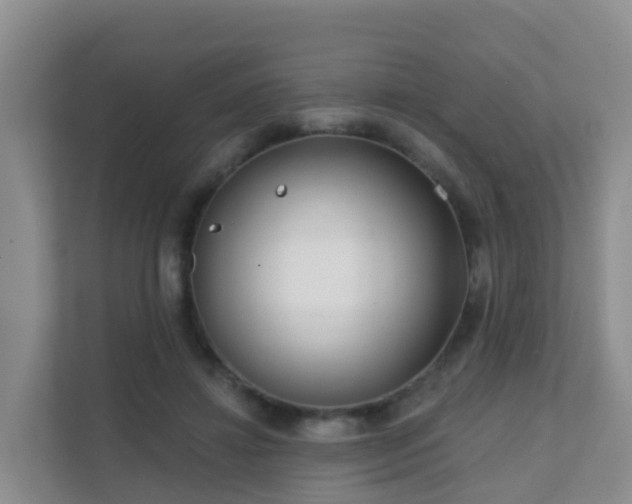 X0000111640452200907241114