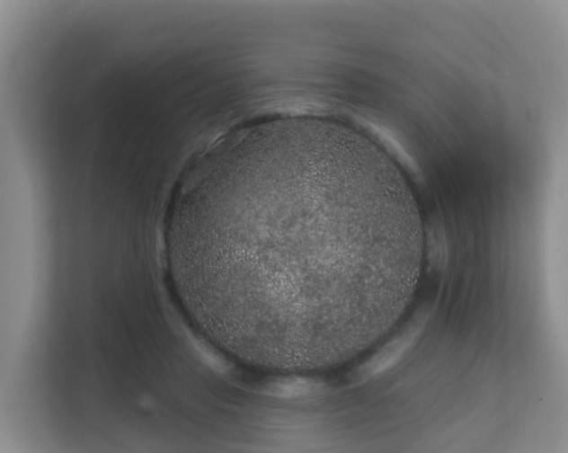 X0000111640453200907241114