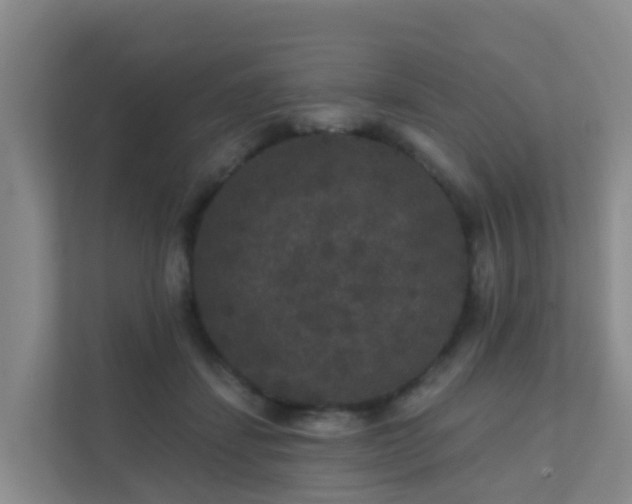 X0000111640459200907241114