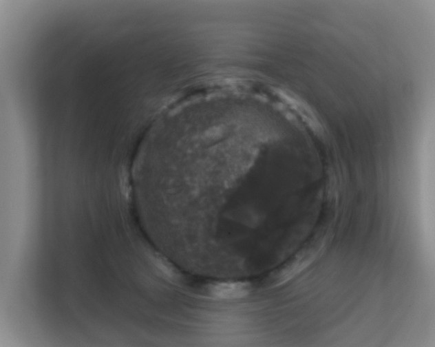 X0000111640465200907241114