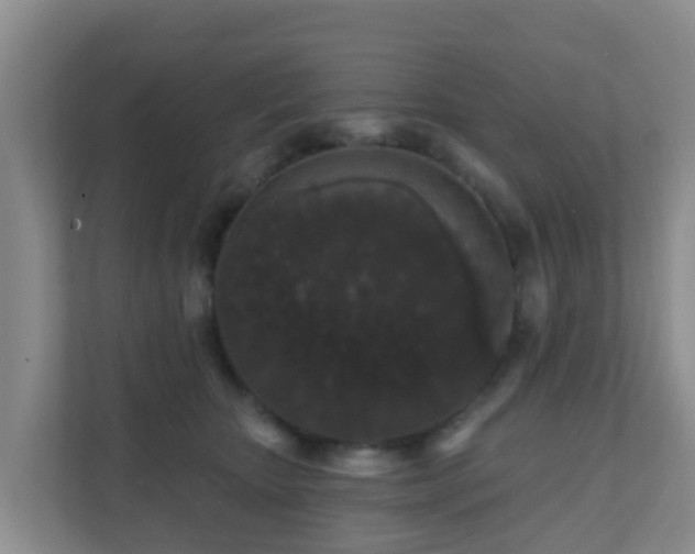 X0000111640467200907241114