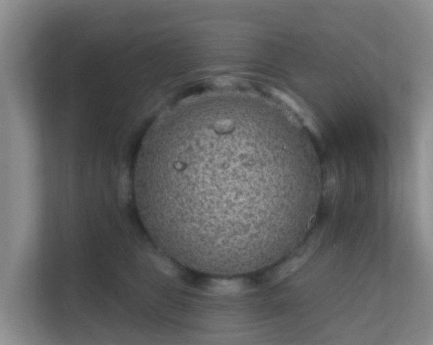 X0000111640469200907241114