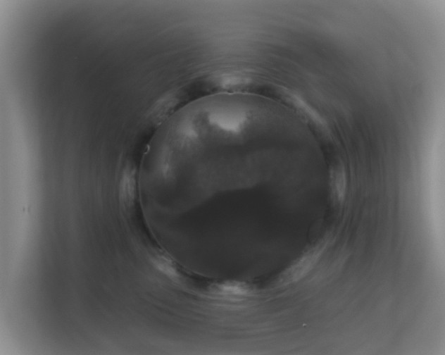 X0000111640475200907241115