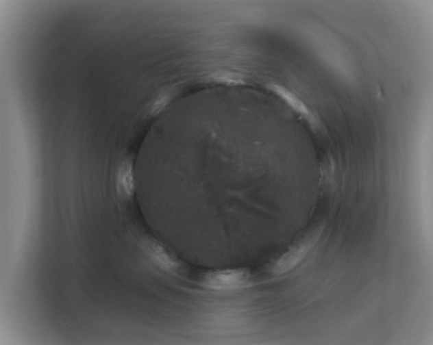 X0000111640479200907241115