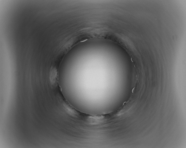 X0000111640480200907241115