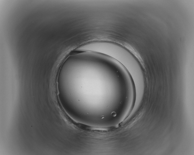 X0000111640481200907241114