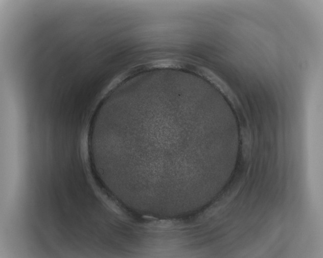 X0000111640482200907241114