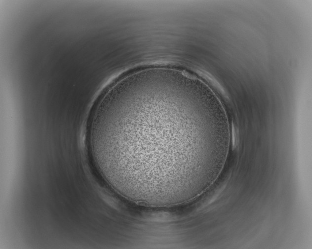 X0000111640483200907241114