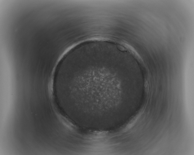 X0000111640484200907241114