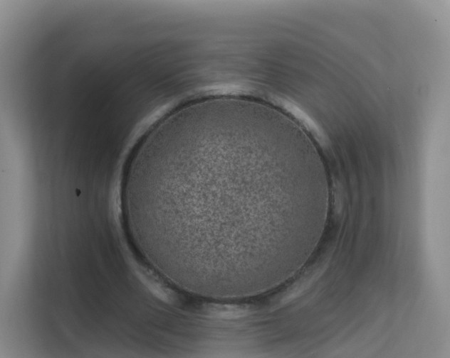 X0000111640486200907241114