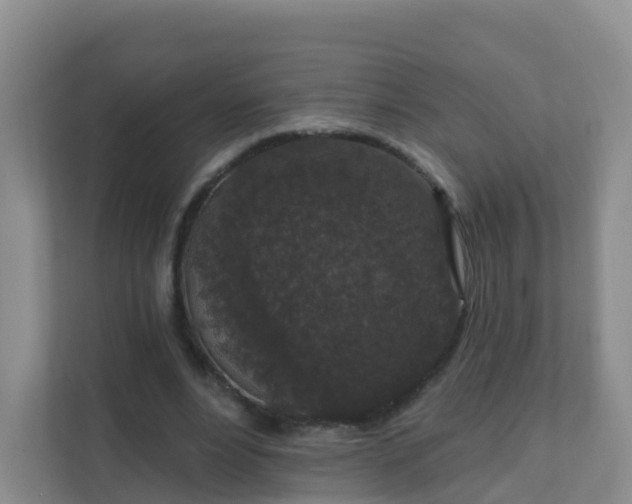 X0000111640488200907241114